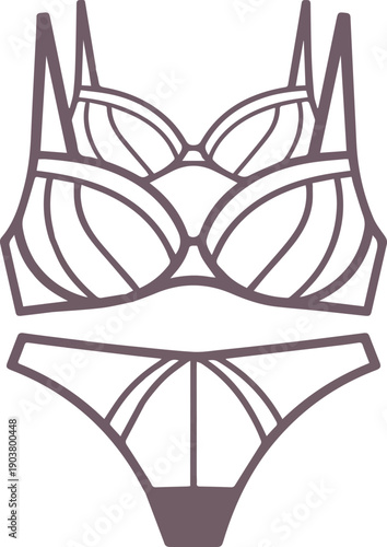 Brown Lace Bra and Panty Set with Detailed lingerie