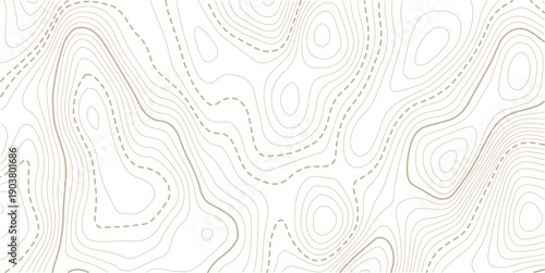 topographic line contour map background, Topographic map and landscape terrain texture grid, Abstract lines background.Contour line background graphic. Concept of simple geography and terrain.
