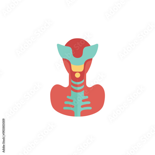 A colorful vector graphic illustration of the human neck and throat anatomy