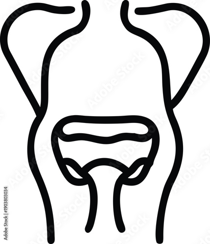 A minimalist line art illustration of a pelvis and lower back
