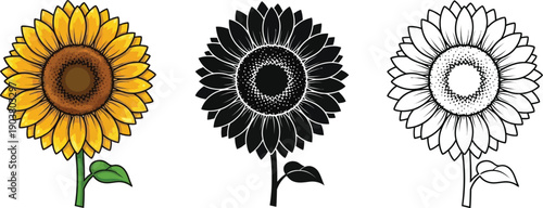 Three styles of sunflower illustrations, including color, solid silhouette, and outline versions, isolated on white.