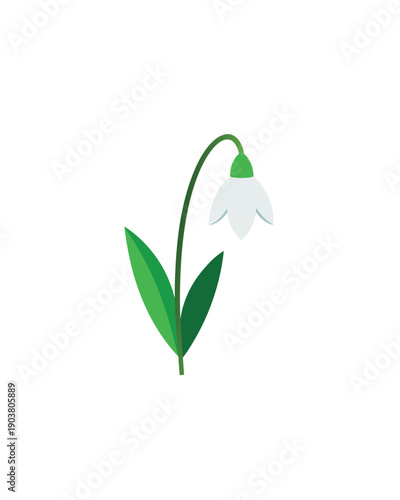 A minimalist vector graphic illustration of a snowdrop flower with green leaves