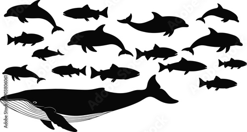 Marine animals silhouette set, whale dolphin fish collection, ocean wildlife illustration, sea life icons, black vector