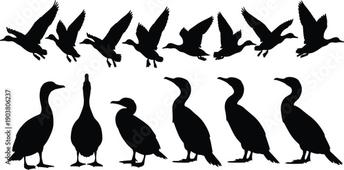 Bird silhouette collection showing flying and standing poses, isolated on white background, wildlife, nature, migration, minimalist design, animal illustration set