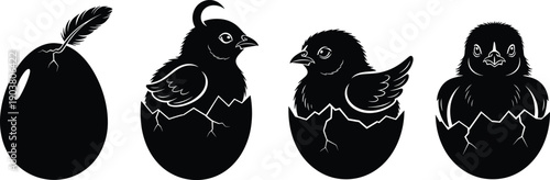 Cute baby chick hatching sequence silhouette set egg cracking stages newborn bird illustration isolated on white background