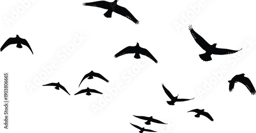 Flying bird silhouettes, isolated on white background, representing freedom, migration, wildlife, nature, minimalist design, flock, motion, sky, concept, illustration, art