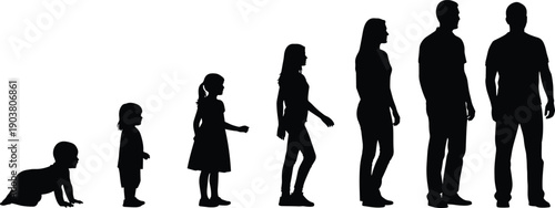 Human growth silhouette sequence from baby to adult, male and female life stages, age progression concept illustration