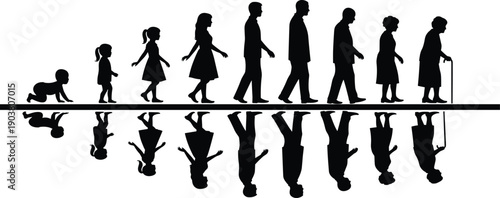Human life cycle silhouette with reflection, growth stages from baby to elderly, aging concept, people evolution illustration