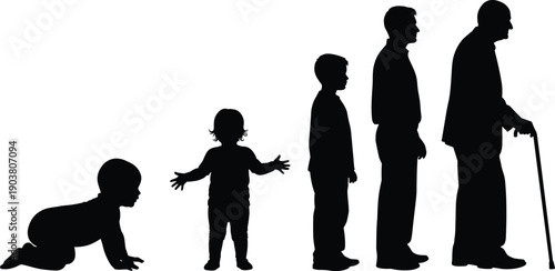 Human life stages silhouette from baby to elderly man with cane, aging process, growth and lifespan concept illustration