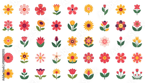 Colorful collection of various flowers for decoration and design spring icons