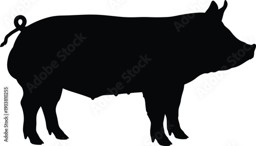 Pig silhouette side view farm livestock animal illustration isolated on white background for agriculture logo design vector use stock commercial