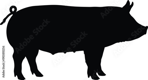 Pig silhouette side profile farm livestock animal illustration isolated on white background for agriculture branding logo vector and stock design