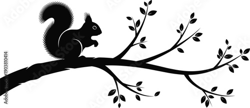 Squirrel silhouette sitting on tree branch, minimalist wildlife nature illustration isolated on white background for design and decoration