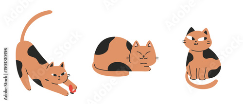 Set of cute Asian style cat characters, sleeping and playing poses. Trendy modern vector illustration isolated on white background, hand drawn, flat design
