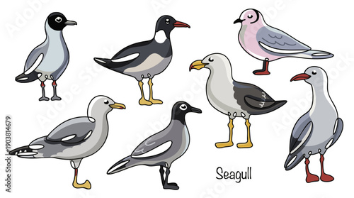 Seven seagulls