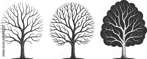 Hand drawn black tree illustrations set, isolated deciduous tree silhouettes, bare branch winter trees, leafy botanical design elements, nature vector sketch collection