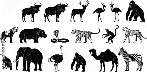 Wild animal silhouettes set, featuring African mammals, birds reptiles, isolated black vector illustration collection for design branding poster logo advertising