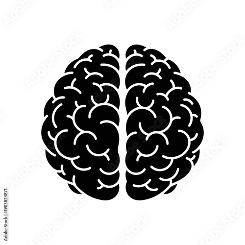 A detailed black silhouette of a human brain showcasing its complex structure