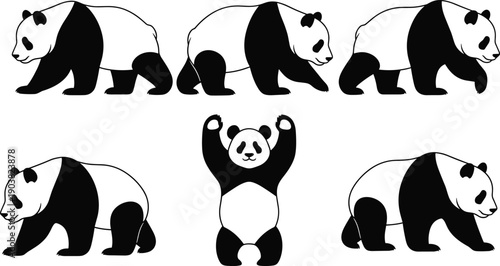Cute panda bear silhouette vector set showing different poses and walking positions, minimalist black and white animal illustration, playful wildlife character design for graphic projects
