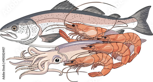 Marine food chain illustration featuring a fish, shrimps, and squid