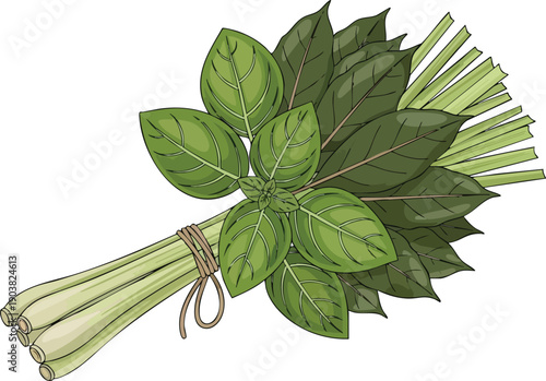 Aromatic Basil and Lemongrass Bundle Fresh Herbs from the Garden