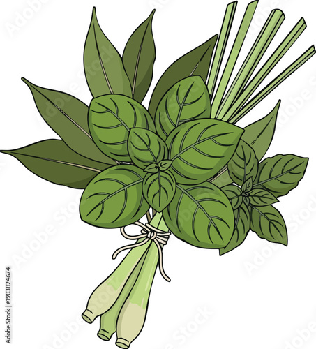 Fresh Herbs Bunch Basil, Bay Leaf, and Lemongrass Culinary Bouquet