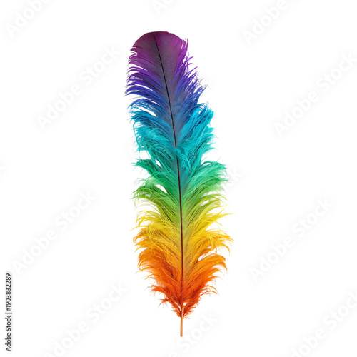 Colorful Feather With a Gradient Design Placed on a Plain Background