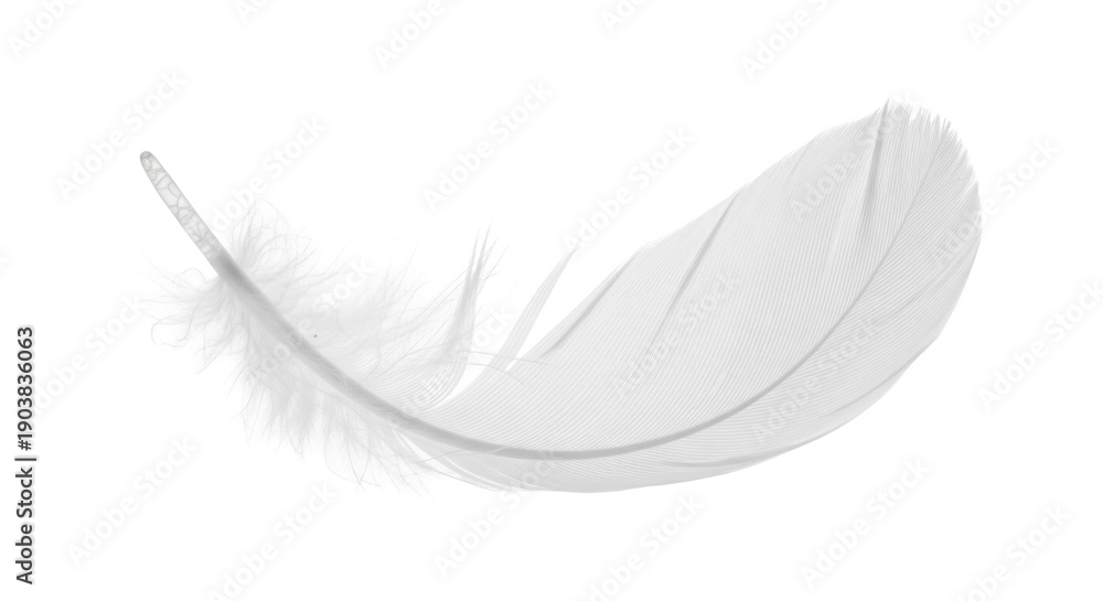 Obraz premium Delicate white feather isolated PNG on transparent background, soft plumage detail for design and ethereal projects