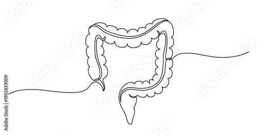 Minimalist drawing of human intestines on white background. No editable stroke