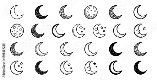 Hand Drawn Mushroom Doodle Collection Fungi Species Line Art Set Vector Illustration Woodland Organic Toadstools