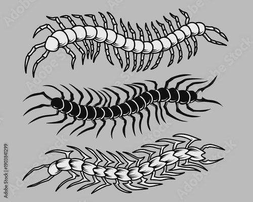 centipede tattoo design set
