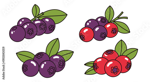 Bilberry Line art creative concept