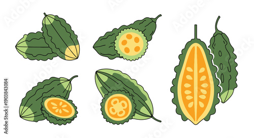 Bitter Gourd Line art color