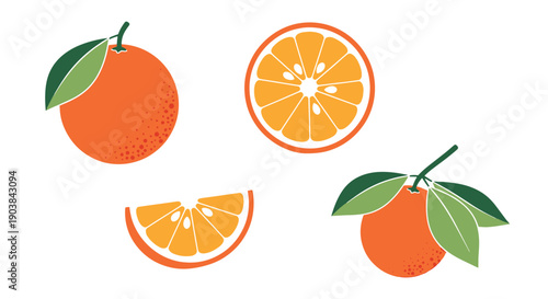 Bitter Orange Line art creative concept