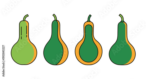 Bottle Gourd Line graphic illustration