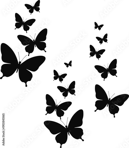 Collection of black butterfly silhouettes in various sizes and positions on a white background