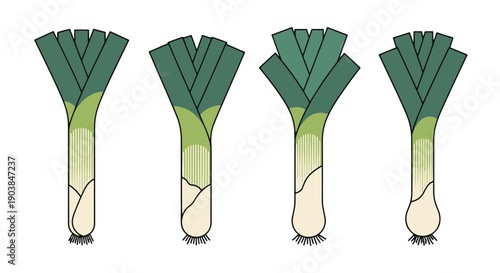 Leek Line art vector filed color clean design