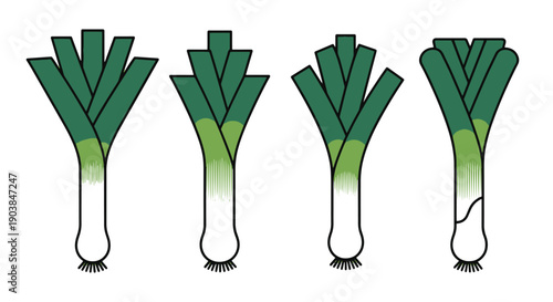 Leek Line art vector colorful