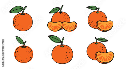 Mandarin Line art color flat style