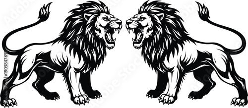 Roaring lion vector illustration, symmetrical black and white artwork, heraldic animal design, fierce predator graphic, bold confrontation stance, courage strength dominance symbol