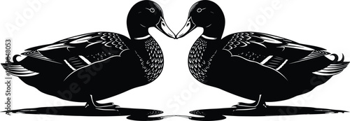 Symmetrical vector illustration of two ducks facing each other, black and white mirrored artwork, reflective surface, stylized feathers, balanced composition, artistic decorative design