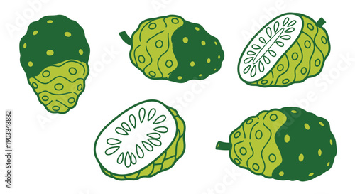 Noni Fruit Line art flat illustration