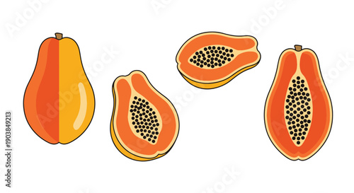 Papaya Line art luxury color outline design