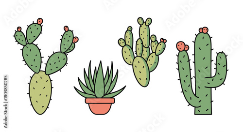 Prickly Pear Line vector modern style