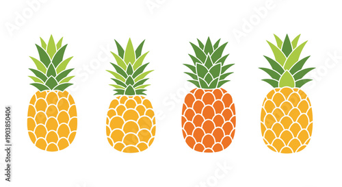 Pineapple Line art colorful modern style