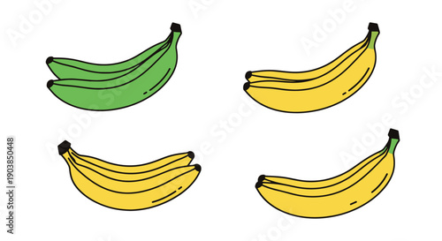 Plantain Line art outline illustration