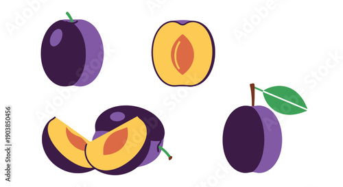 Plum Line art vector color clean design