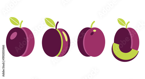 Plum Line art vector dynamic design