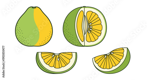 Pomelo Line art digital illustration