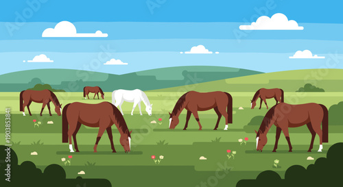 Herd of brown and white horses grazing peacefully in a green pasture on a sunny day with rolling hills and a blue sky in a flat vector illustration style